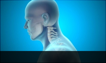 대구자생한방병원 목질환 일자목증후군-정상적인 C자형 목뼈 모습입니다.